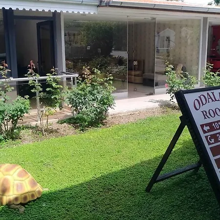 Altinkum Bungalow سيدي
