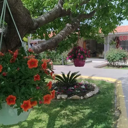 فندق Altinkum Bungalow 3*