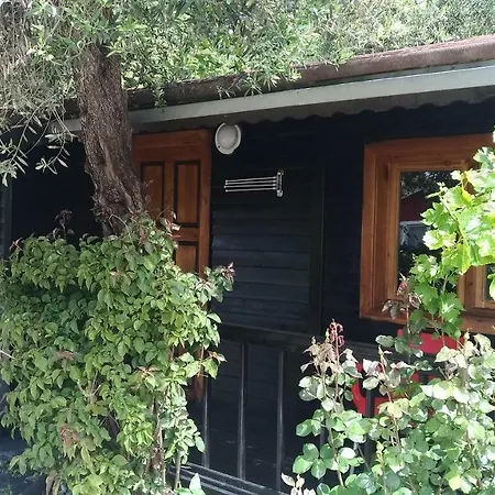 Altinkum Bungalow فندق سيدي